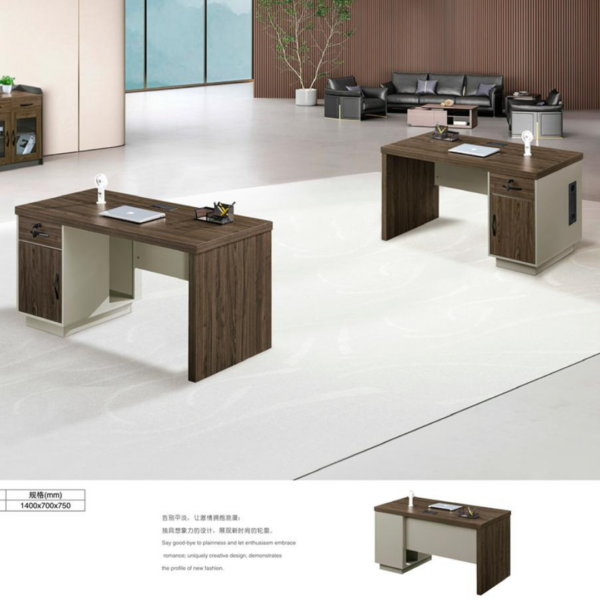 BUREAU SECRETAIRE AGENT